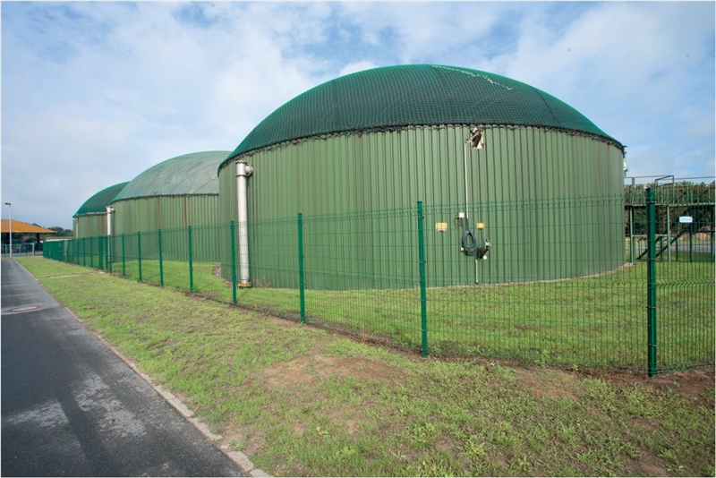 Biogas & other Gas Generation Units